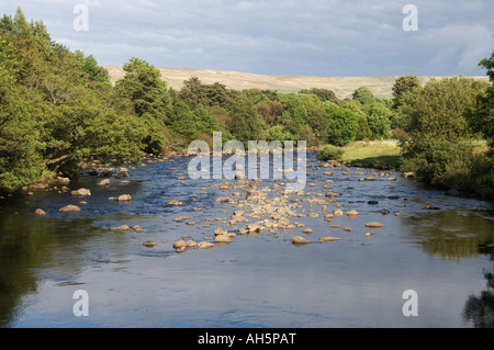 The River Tees between High Force and Low Force waterfalls near Middleton in Teesdale in County Durham Stock Photo