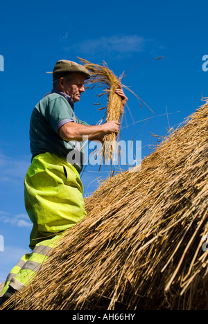September 2007 Ardara County Donegal Ireland Peter McGuire at work thatching a cottage Photo by Richard Wayman Stock Photo