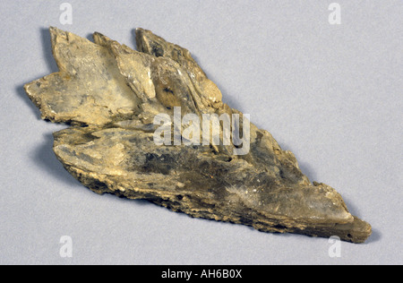 Twinned Gypsum 'arrowhead' or 'swallowtail' Stock Photo