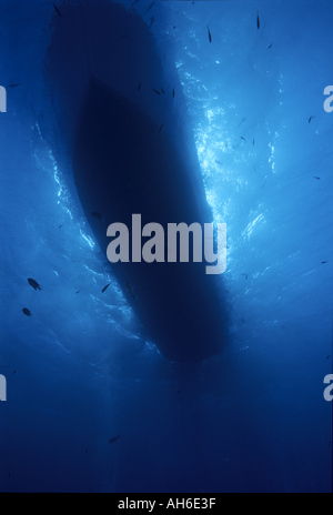 Hull of a boat is seen from underwater, Red Sea, Egypt. Stock Photo