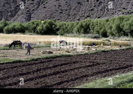 Ouzighimt valley High Atlas Morocco Stock Photo - Alamy