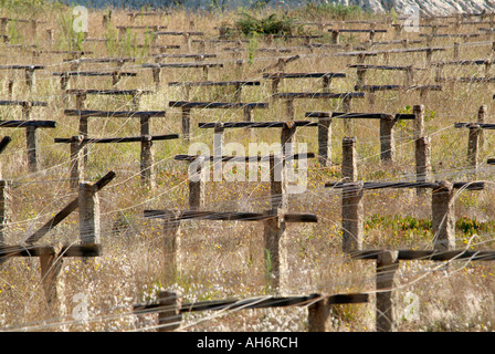 drying cod beds in portugal Stock Photo
