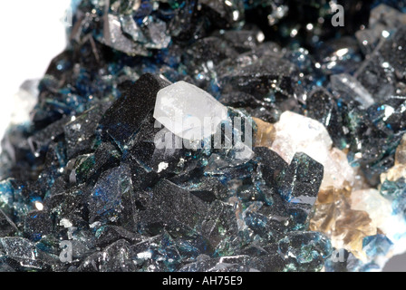 Mineral Lazulite, Dark blue crystals with quartz, Rapid Creek area, Yukon Territory, Canada Stock Photo