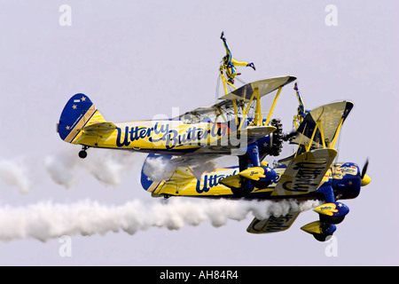 utterly butterly wing walkers Stock Photo