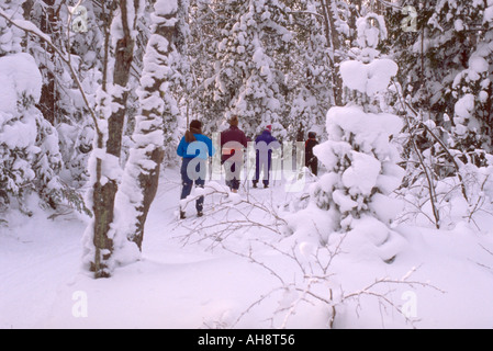 Friends age 40 cross country skiing on winter weekend getaway. Bessemer Michigan USA Stock Photo