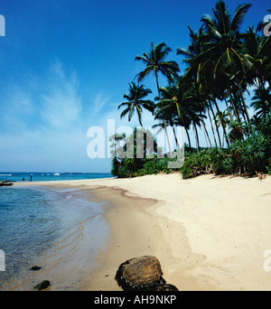 A secluded white sand palm fringed beach Unawatuna Sri Lanka, Indian Ocean Stock Photo