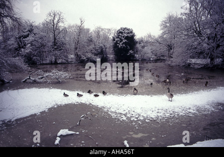 Dulwich Park frozen lake in winter South London England UK Stock Photo