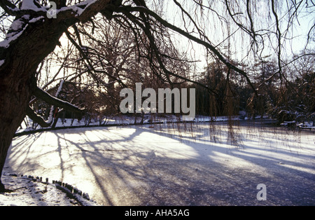 Peckham Rye Park snow on tree in winter South London England UK Stock Photo