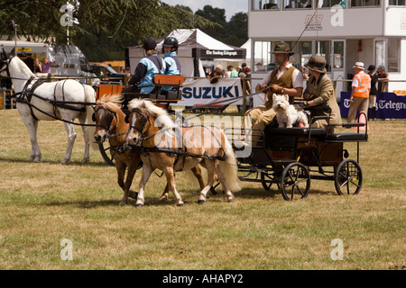 UK Hampshire Romsey Broadlands CLA Game Fair Main Arena Carriage driving display Shetland pony drawn cart Stock Photo