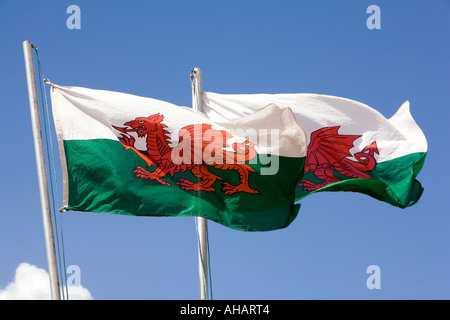 UK Hampshire Romsey Broadlands CLA Game Fair Welsh Village Welsh flags flying Stock Photo
