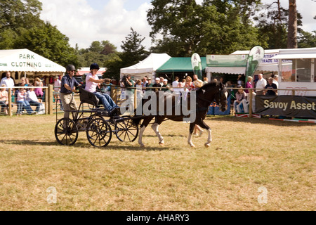 UK Hampshire Romsey Broadlands CLA Game Fair display of horse and carriage control Stock Photo