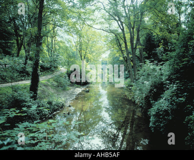 Ouseburn flowing through Jesmond Dene, Newcastle upon Tyne, England, UK. Stock Photo