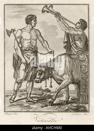 Roman Bull Sacrificed Stock Photo - Alamy