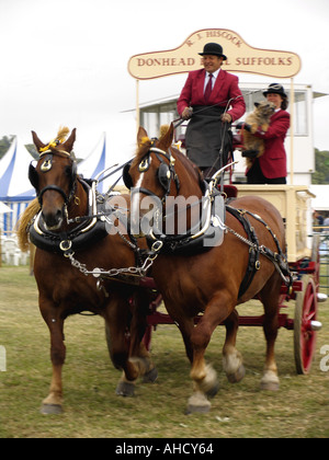 Suffolk Rural Equine Suffolk Heavy Horse display 2005 Country Fair Stock Photo - Alamy