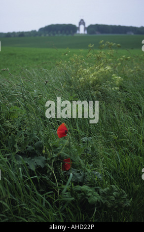 Thiepval Memorial to the Missing of the Somme, Northern France Stock Photo