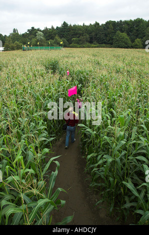 The Maize Maze Cawthorne South Yorkshire UK Stock Photo