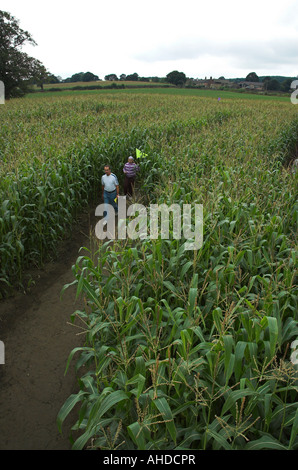 The Maize Maze Cawthorne South Yorkshire UK Stock Photo