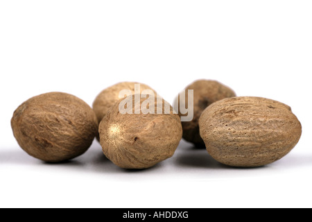 nutmeg, mace (Myristica fragrans), nutmeg apples Stock Photo