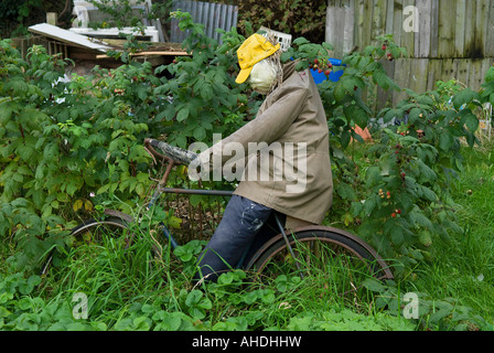 scarecrow riding on bicycle in urban allotment, norfolk, england Stock Photo