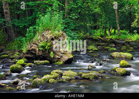 A large tree stump on a quiet stretch of the River Esk. Near Egton Bridge in the North Yorkshire Moors National Park, UK Stock Photo