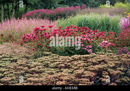 Pensthorpe Millennium Garden September, Echinacea, Grasses, Sedum, eupatorium, lythrum, designer Piet Oudolf Stock Photo