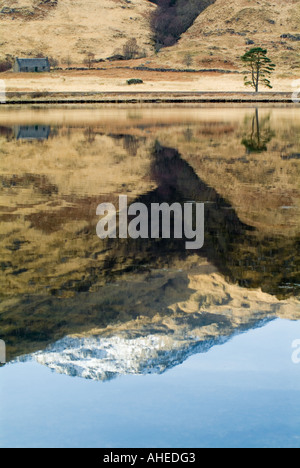 A lone scots pine and an abandonded farmhouse at the base of a snowy mountain reflecting perfectly in the still water of a scott Stock Photo