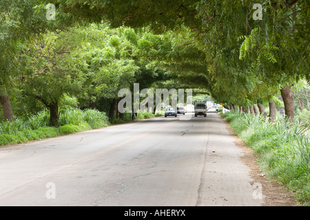 Old view of the road going from Chitré to Las Tablas. Azuero, Republic of Panama, Central America Stock Photo