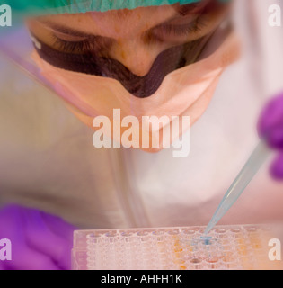 Tech Using Pipette Using pipette in the laboratory Stock Photo - Alamy