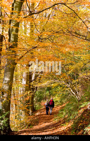 Senior couple with backpacks strolling along Woodland path in Autumn (Fall), Surrey, England Stock Photo