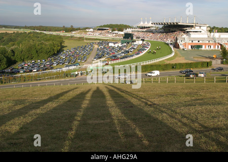 Goodwood shadows evening horse race meeting Stock Photo