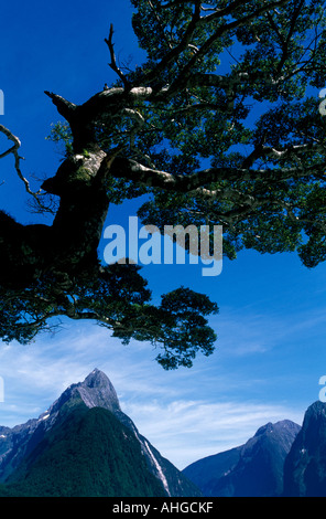New zealand south island Milford sound with the Mitre Peak in background Stock Photo