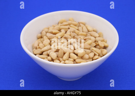 Bowl of pine nuts on a blue studio background Stock Photo