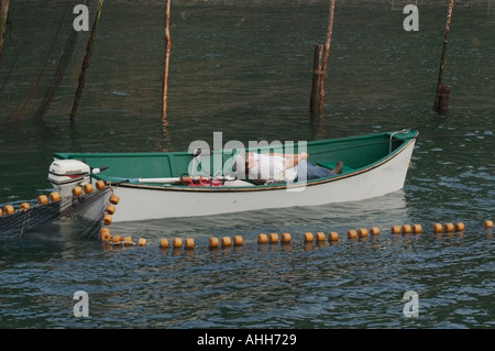 Pulling on seine with all his strength in herring weir Grand Manan Island Bay of Fundy Canada Stock Photo