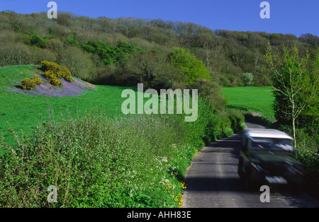 Dorset country road in springtime England UK Stock Photo