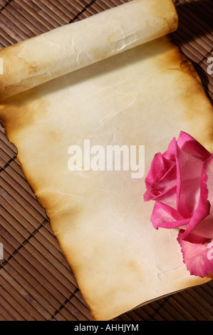 Pink rose on aged parchment paper Stock Photo