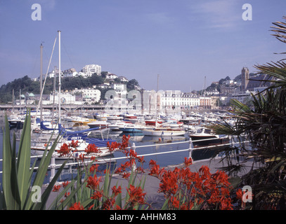 Torquay the inner harbour Stock Photo