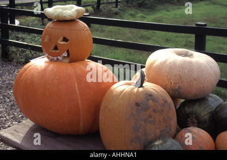 Farm shop display of pumpkins to promote the Halloween festival of trick and treating on and around the 31 October Stock Photo