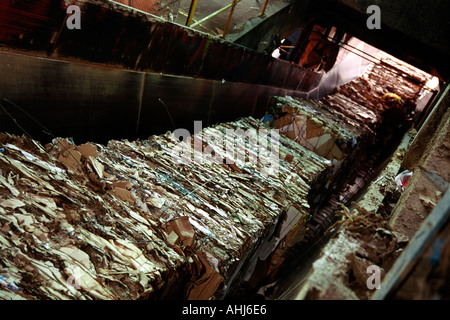 Used paper and card for recycling passing on conveyor belt Smurfit paper factory England Britain UK Stock Photo