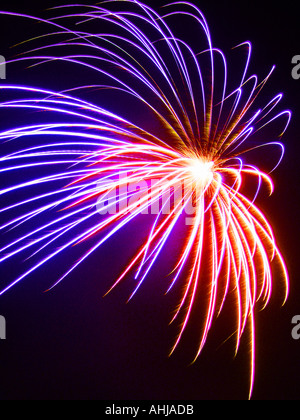 Firework exploding against a black background Stock Photo