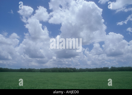 blue sky and clouds Stock Photo