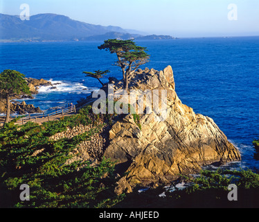 Lone Cypress Lookout on 17 Mile Drive of Monterey peninsula California USA Stock Photo