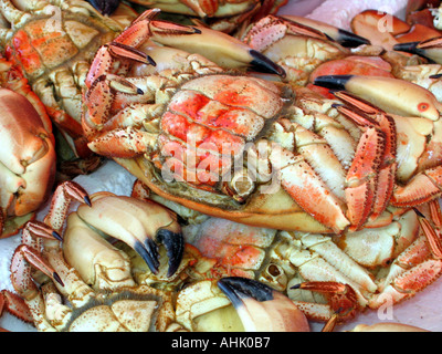 Fresh crabfish being sold at the Bergen Fish Market at Fisketorget Square in Bergen Norway Stock Photo