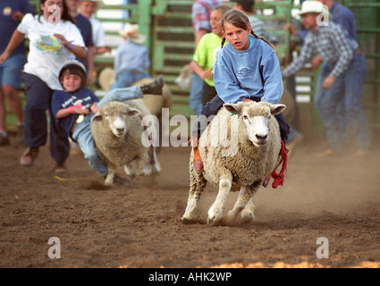 Children ride sheep at the Polk County Fair in Rickreall Oregon Stock Photo