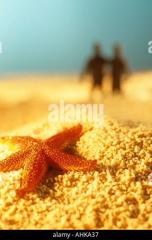 Starfish on beach Stock Photo