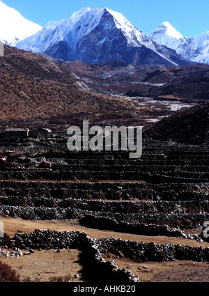 Island peak rises above the dry stone walls of the fields of pheriche in the everest region of the Nepal Himalaya Stock Photo