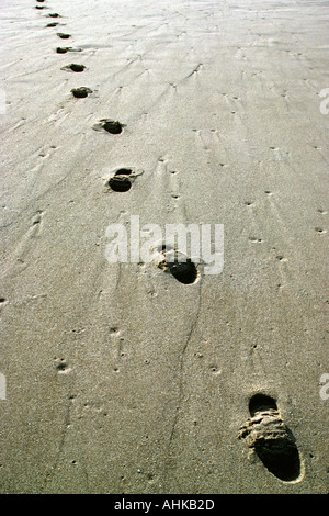 Footsteps in wet sand Stock Photo