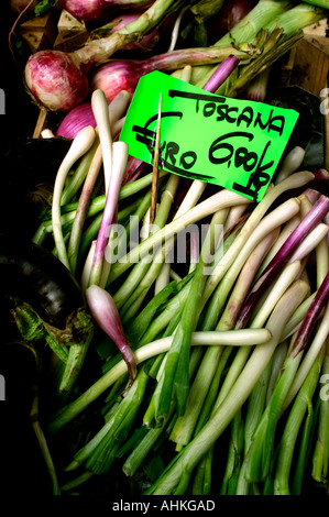 Italy Italian delicatessen tuscany rgeen grocer Stock Photo