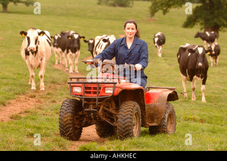 A FEMALE FARMER RIDING A QUAD BIKE ON A DAIRY FARM IN GLOUCESTERSHIRE UK Stock Photo