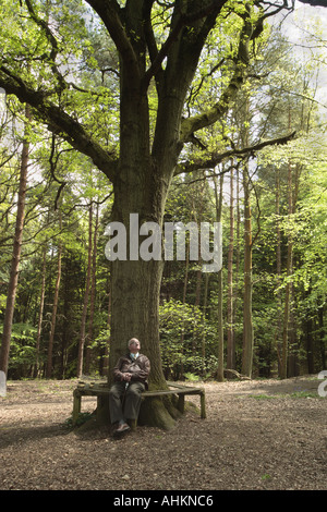 Old man sitting under a tree. Draughtsman: Anna ter Borch (possibly ...