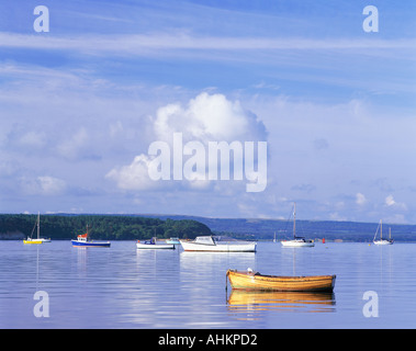 GB DORSET BOATS IN POOLE HARBOUR Stock Photo